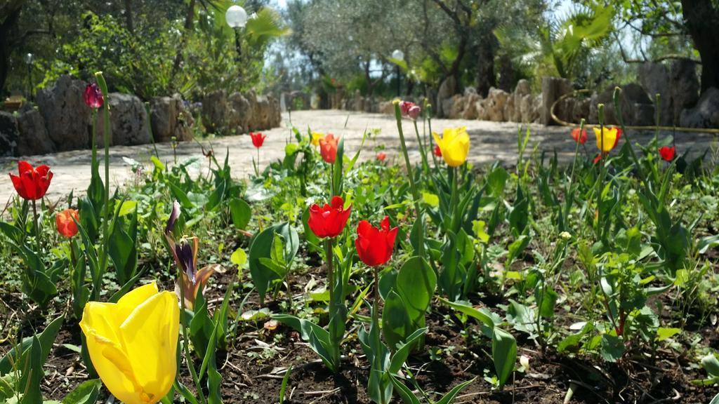 Agriturismo Tenuta La Siesta Gallipoli Buitenkant foto