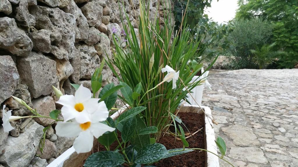 Agriturismo Tenuta La Siesta Gallipoli Buitenkant foto