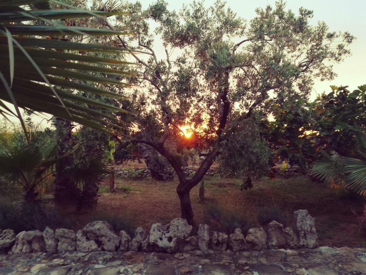 Agriturismo Tenuta La Siesta Gallipoli Buitenkant foto